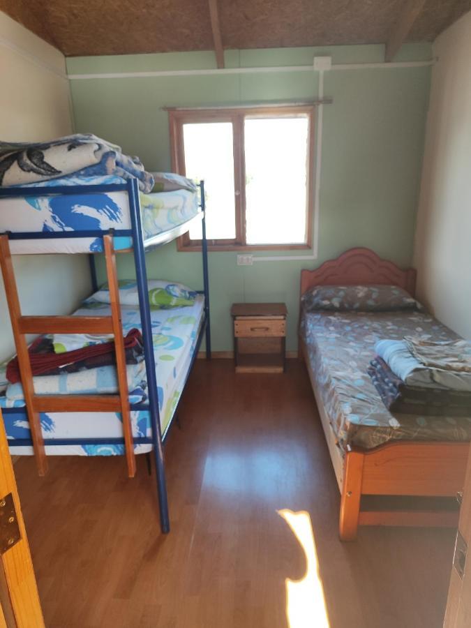 Alma Patagona Hostel Puerto Tranquilo Eksteriør billede