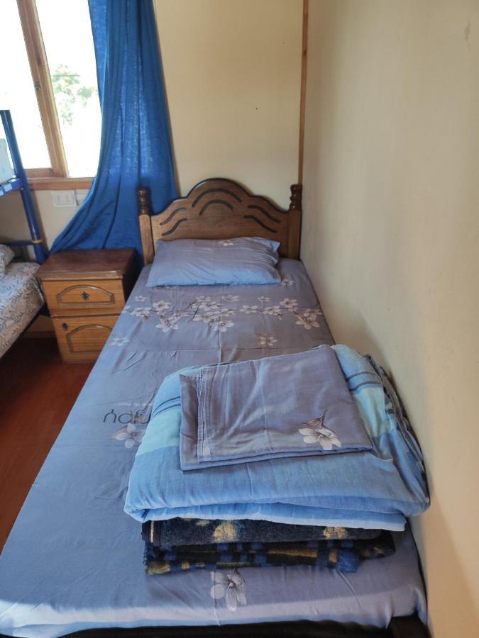Alma Patagona Hostel Puerto Tranquilo Eksteriør billede