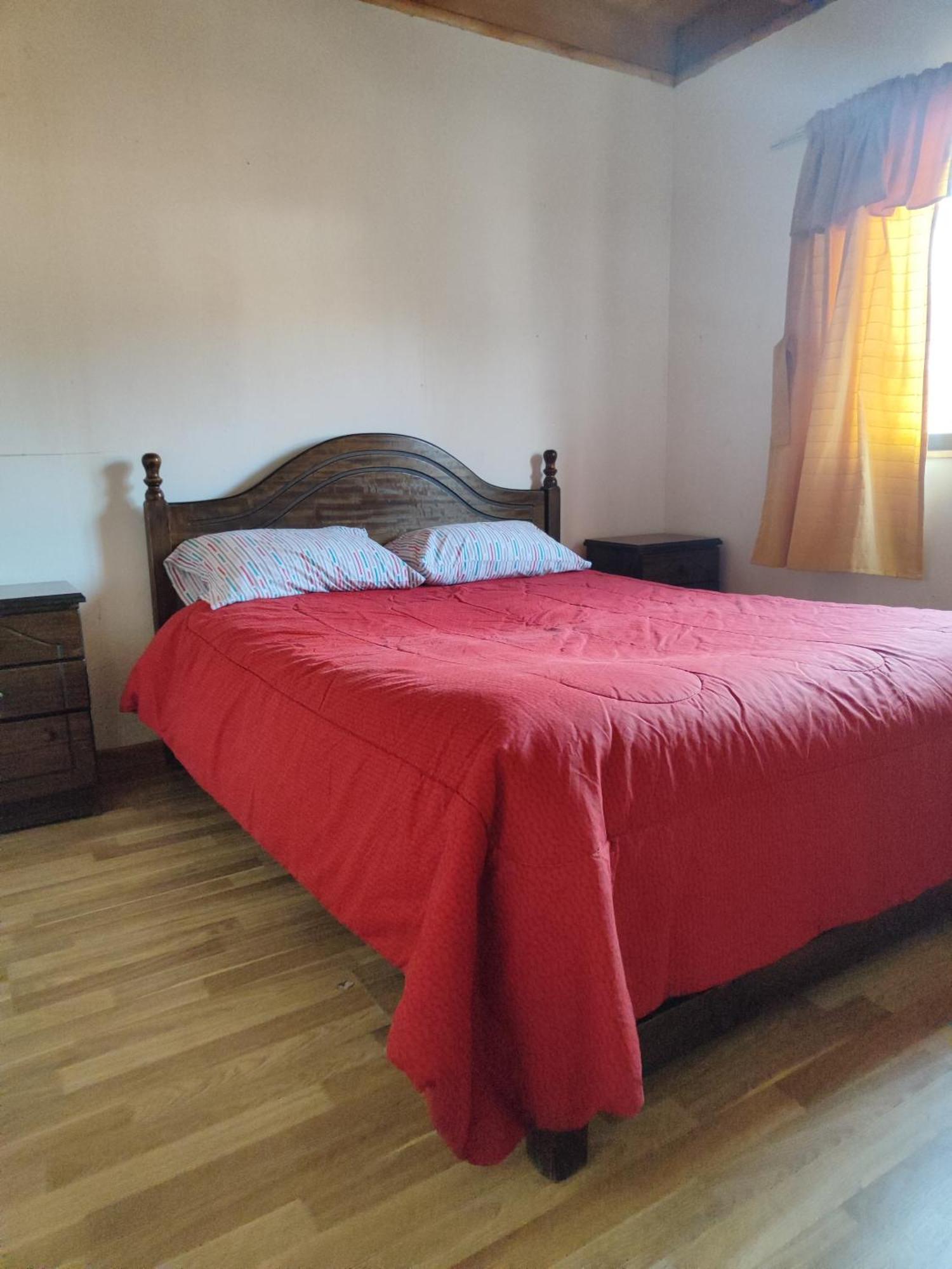 Alma Patagona Hostel Puerto Tranquilo Eksteriør billede